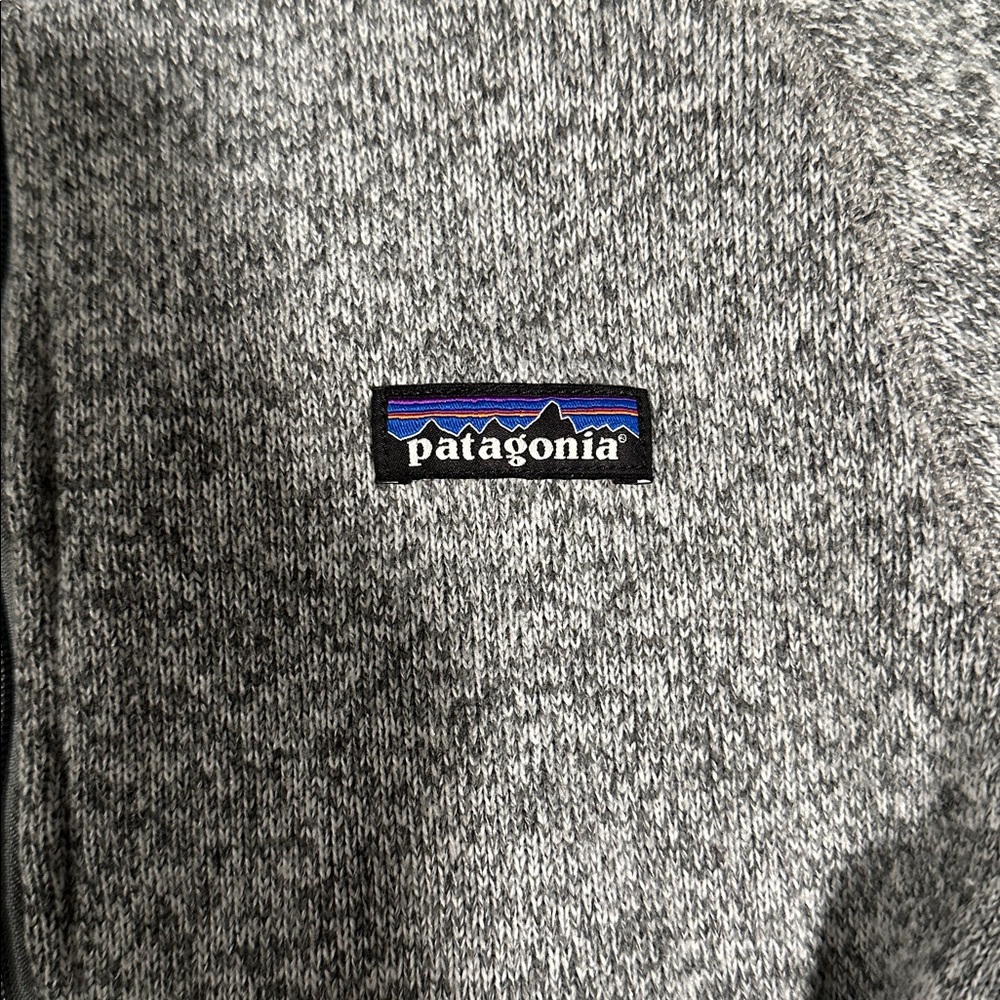 Patagonia Heathered Gray Fleece Pullover - Picture 2 of 3